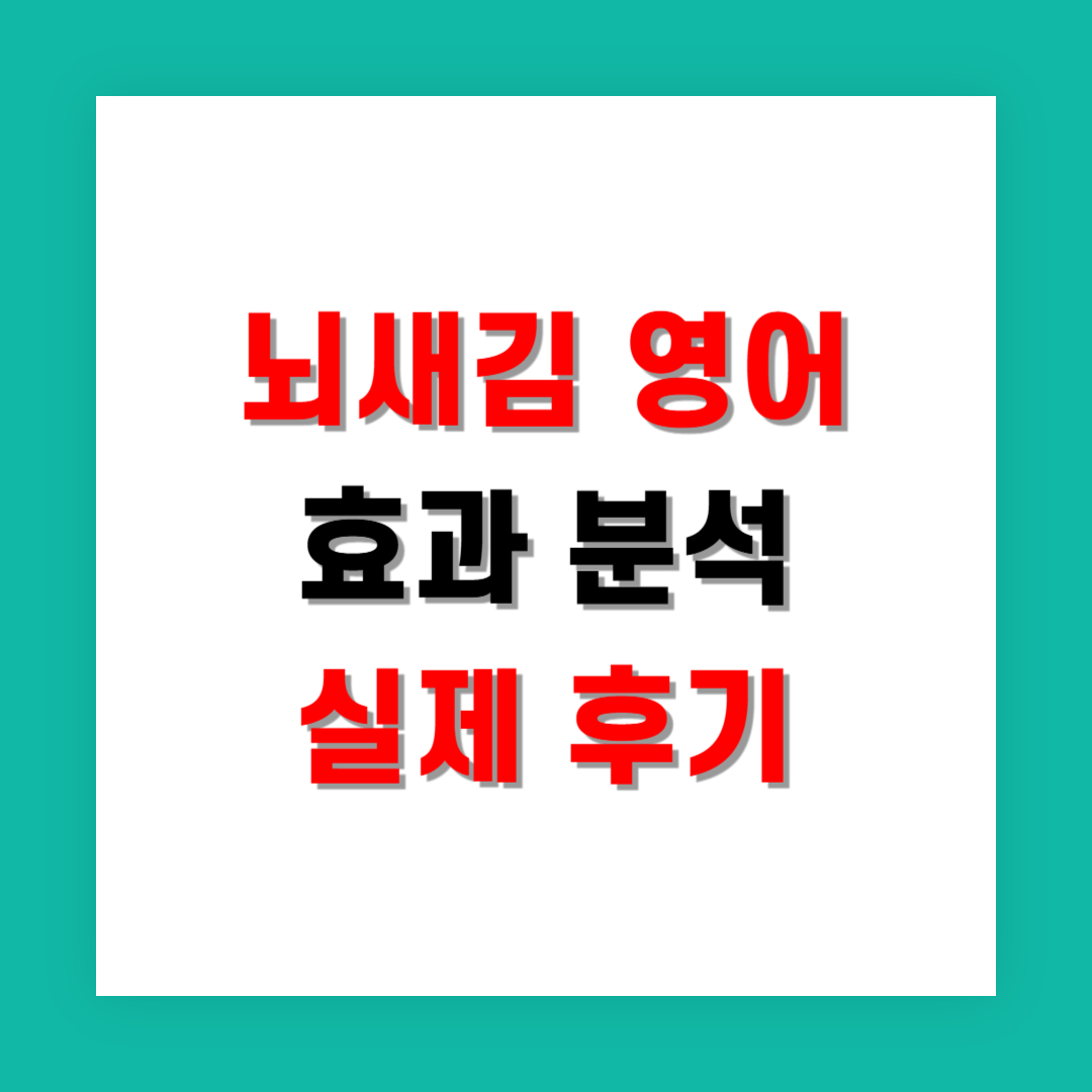 뇌새김 영어 효과 분석 및 실제 후기