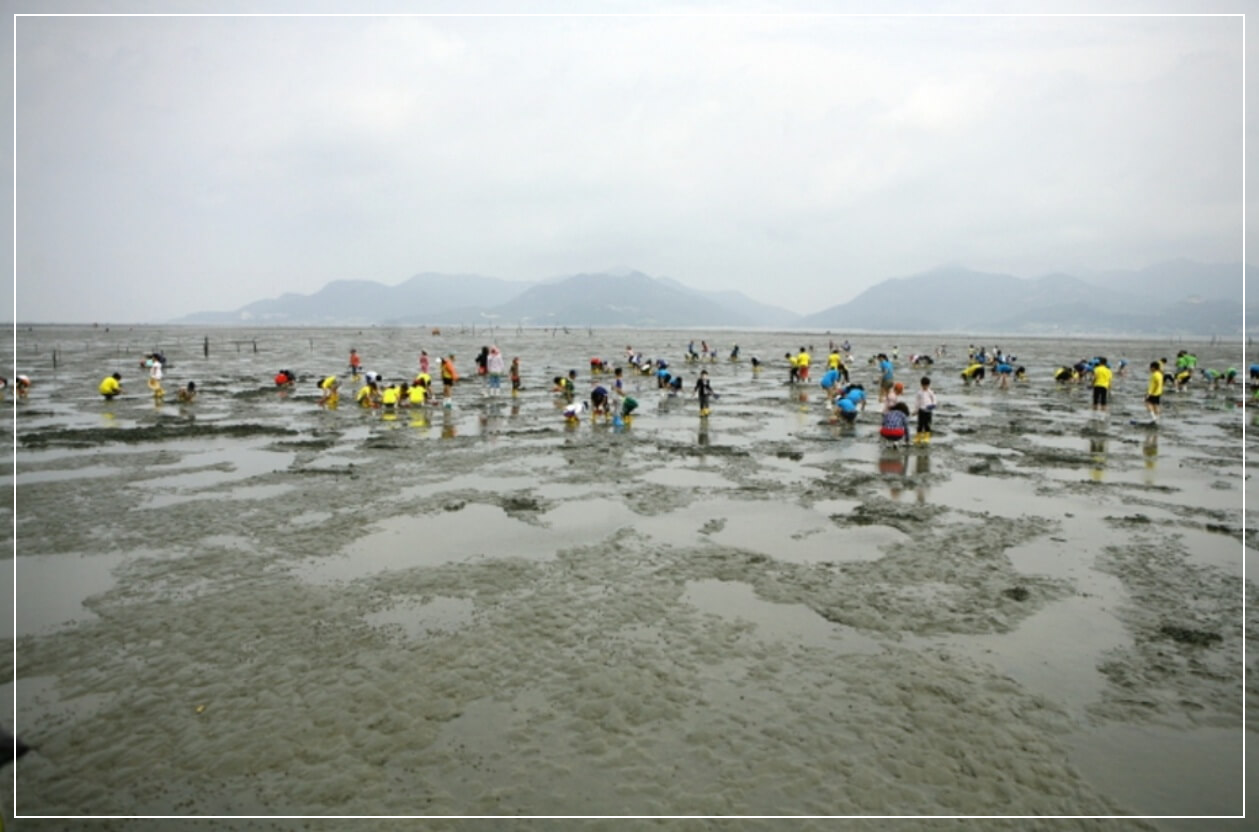 고창 가볼만한곳 베스트10 고창갯벌 세계자연유산센터 (하전&middot;만돌 체험 포함)