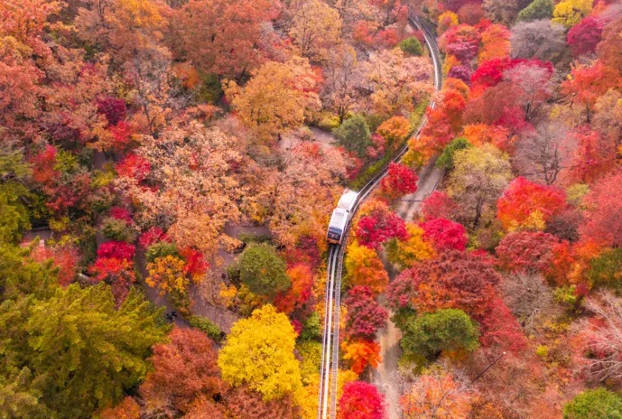 화담숲 모노레일 예약 방법 수선화 반딧불 수국 단풍 축제