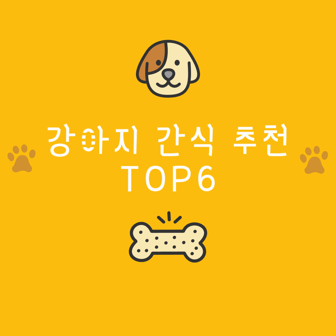 강아지 간식 추천 TOP6