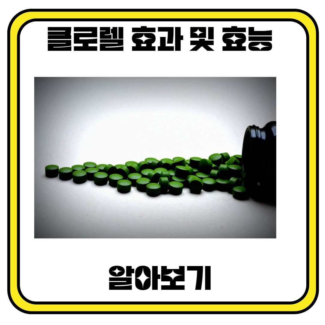 클로렐라 효과 및 효능 알아보기