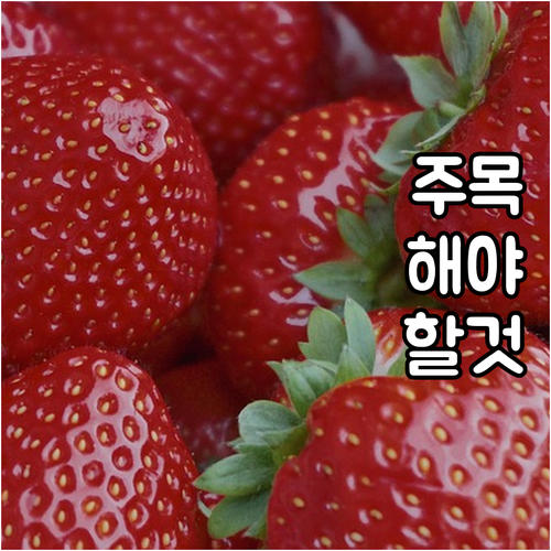 골치 아픈 대형폐기물 마포구 상수동 ..