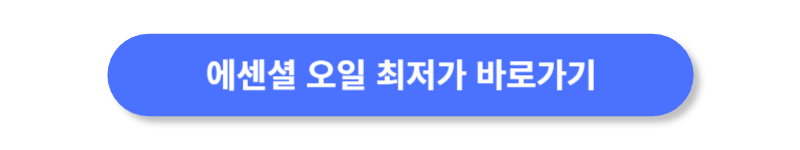 버튼