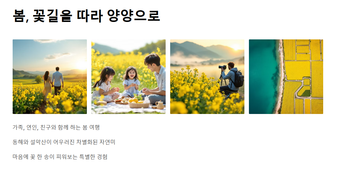 양양 남대천 유채꽃밭