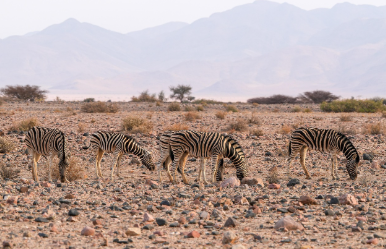 희귀 생태계가 보존된 비밀스러운 자연 보호구역 탐방