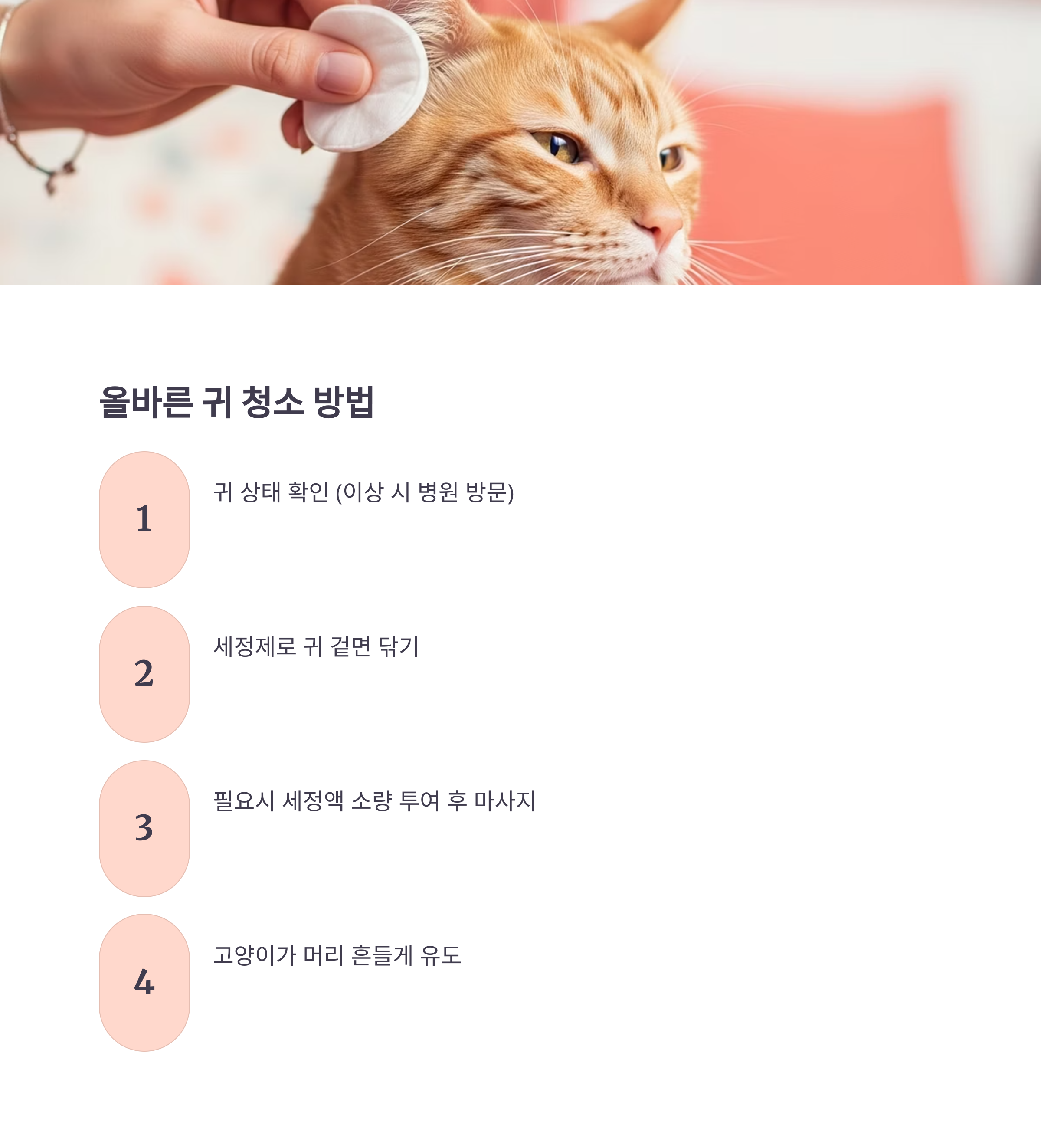 올바르 귀 청소 방법