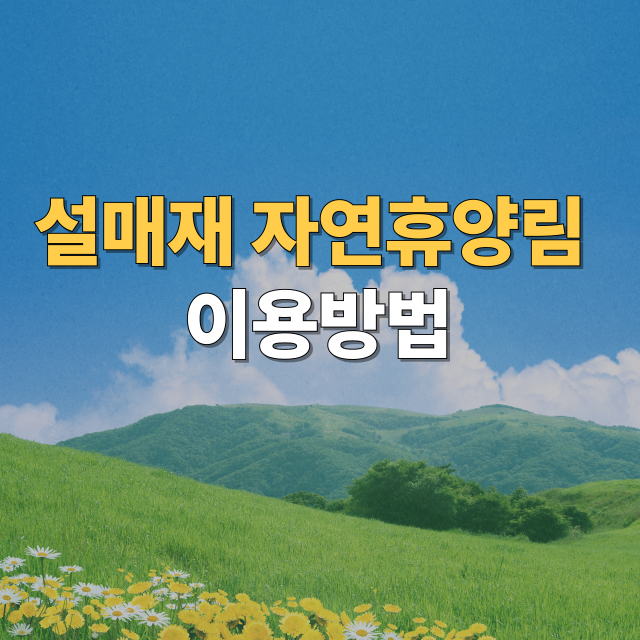 설매재자연휴양림 완벽 가이드 자연의 숨결을 느낄 수 있는 힐링 명소