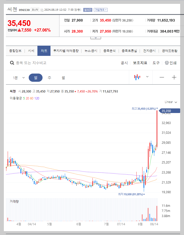 씨젠 주가 분석