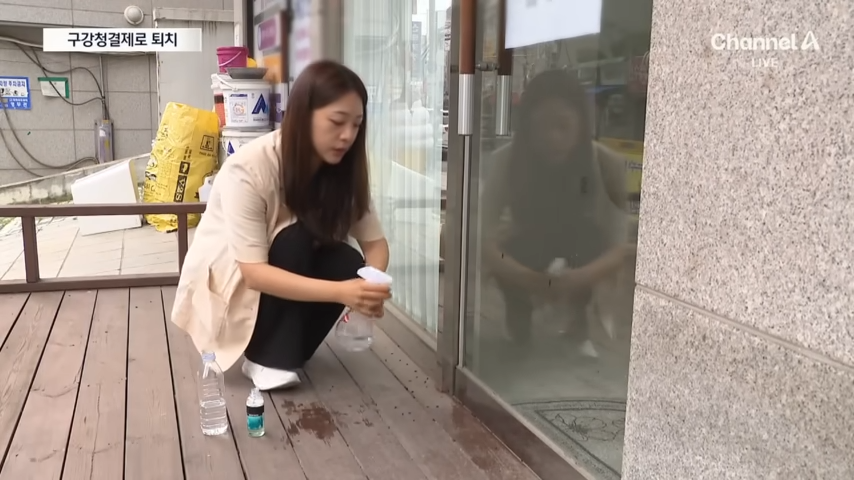 구강청결제 3숟가락 넣은 물로 러브버그 퇴치하는 방법