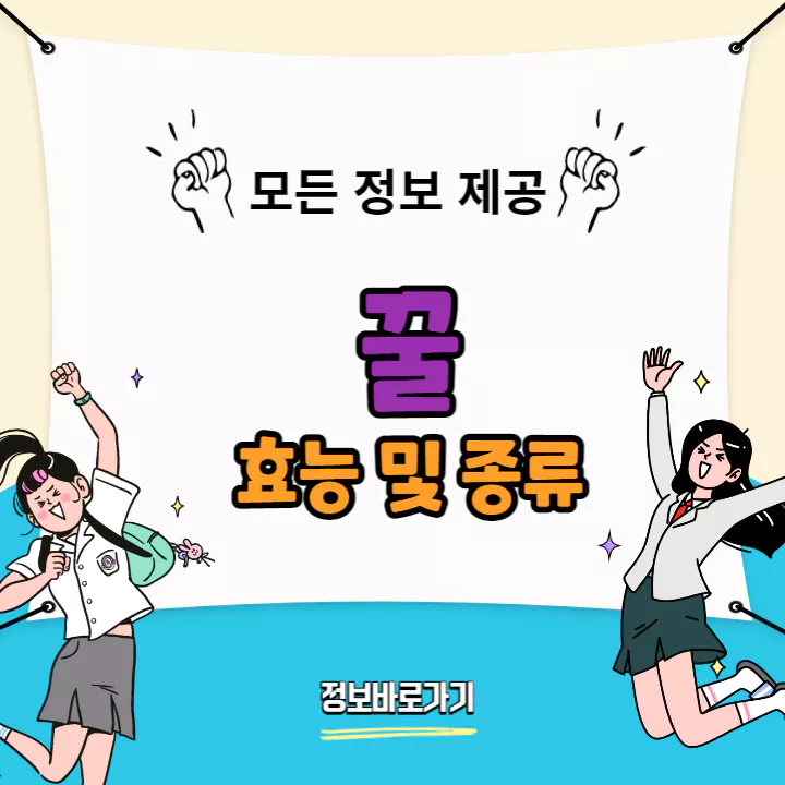 꿀-효능-종류