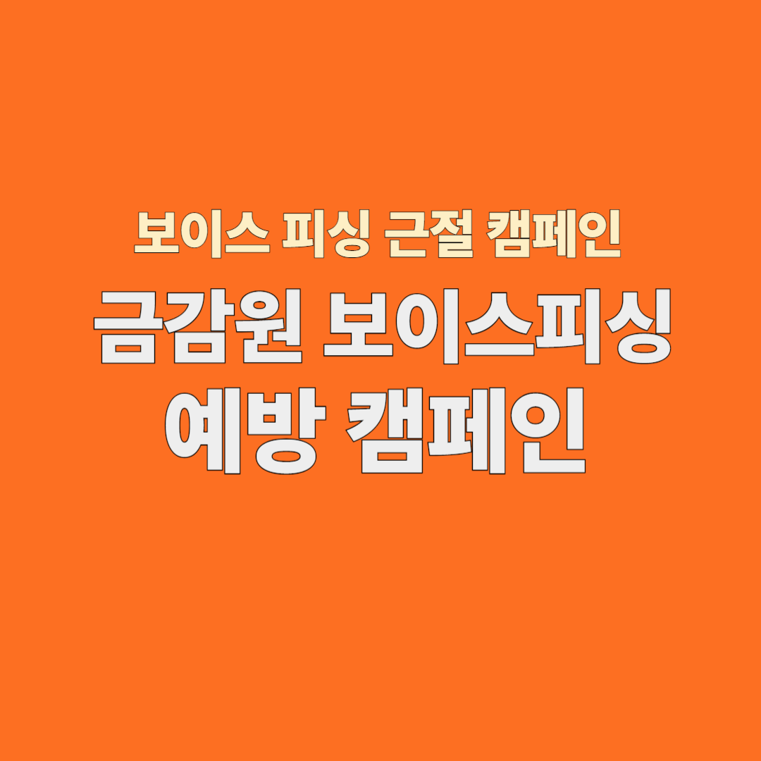 금감원 보이스피싱 예방 캠페인, 예방 핵심 꿀팁!