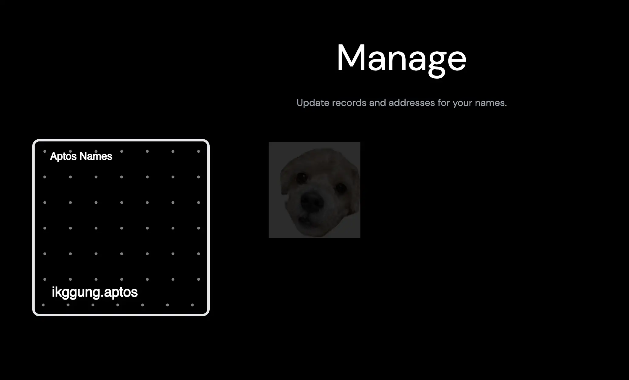 네임서비스 내 Manage 탭 사진