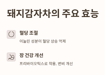 돼지감자차 효능
