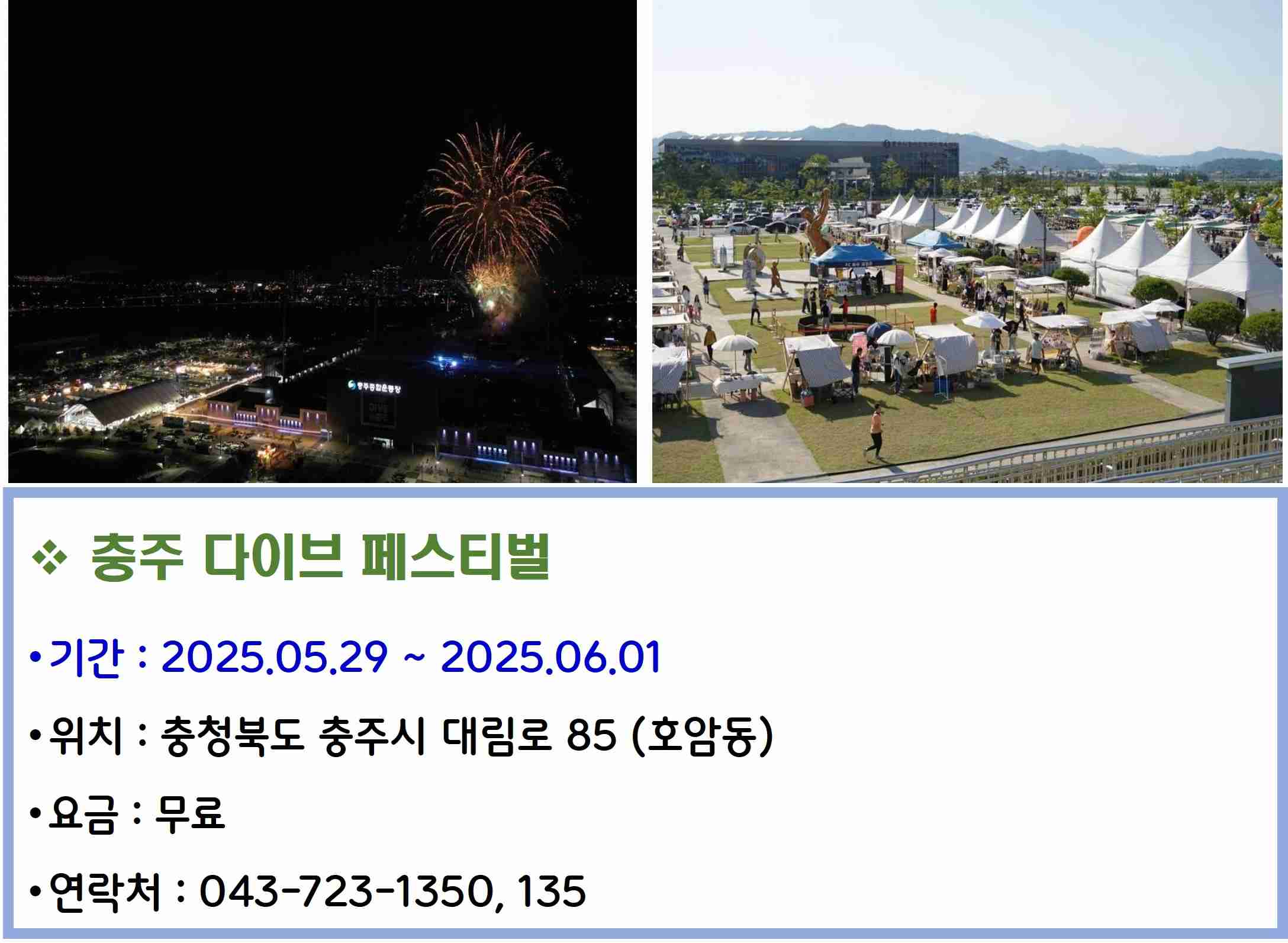 충주 다이브 페스티벌