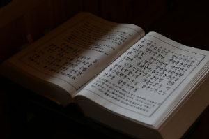 텍스트의 종류