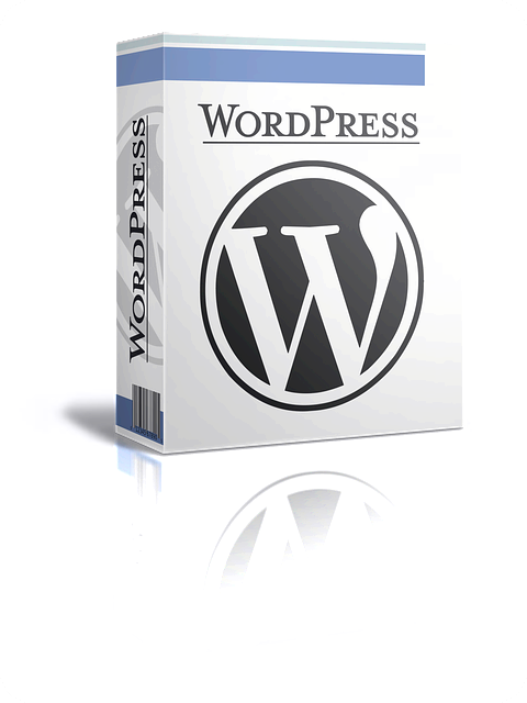 워드프레스 플러그인으로 SEO 최적화 및 애드센스 수익 극대화