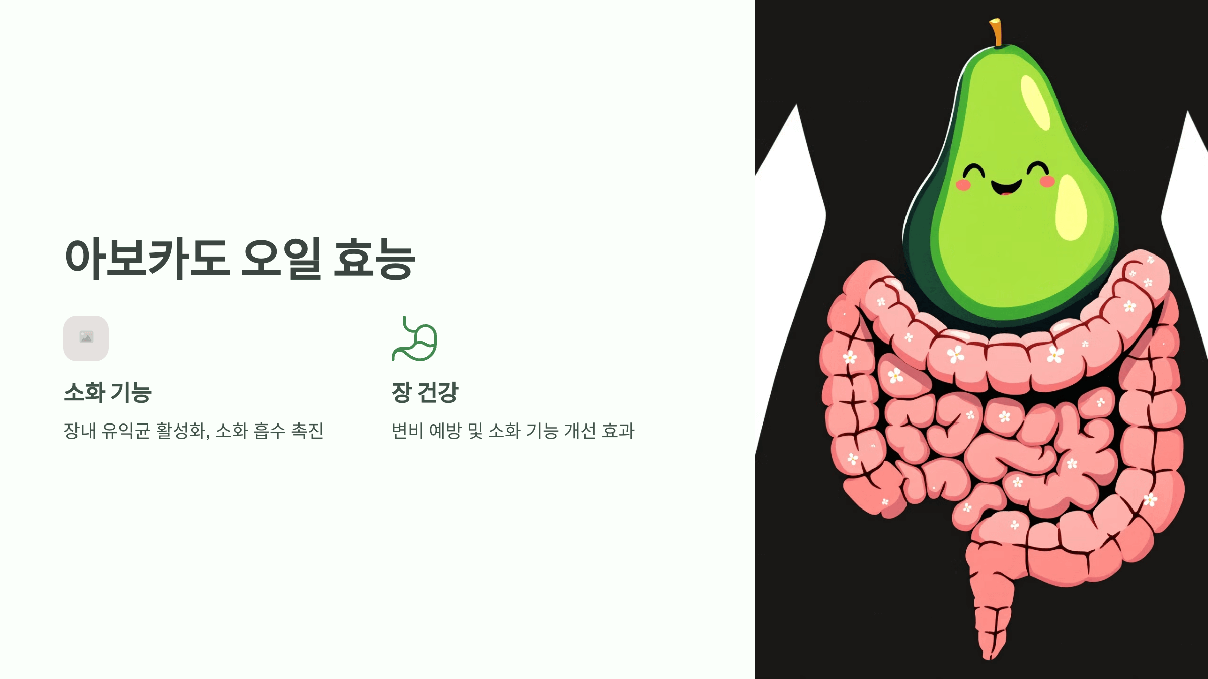 아보카도 오일 사진입니다.