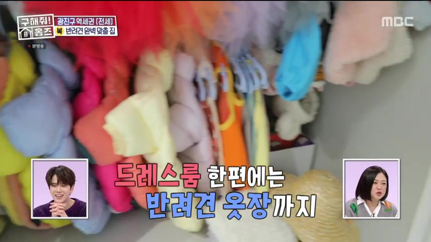 구해줘홈즈 댕댕하우스 동물병원 인접 서울시 광진구 중곡동 전세 매매 매물 가격 및 구조 인테리어 리모델링 최종선택 더보이즈 영훈 현재 소개