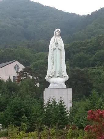 천진암 흰민들레 백양자연관찰로 괭이눈 개화_8