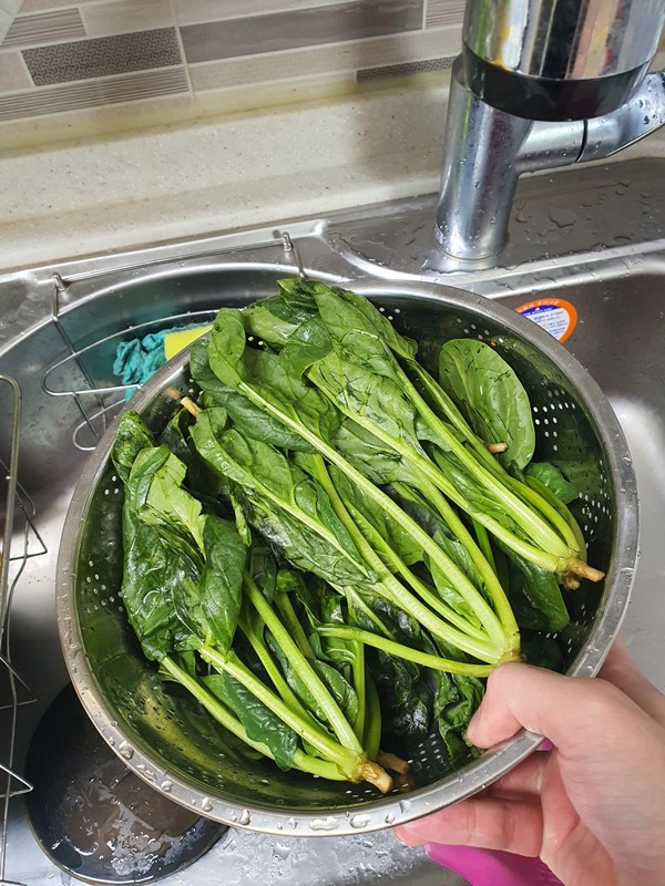 시금치 씻기