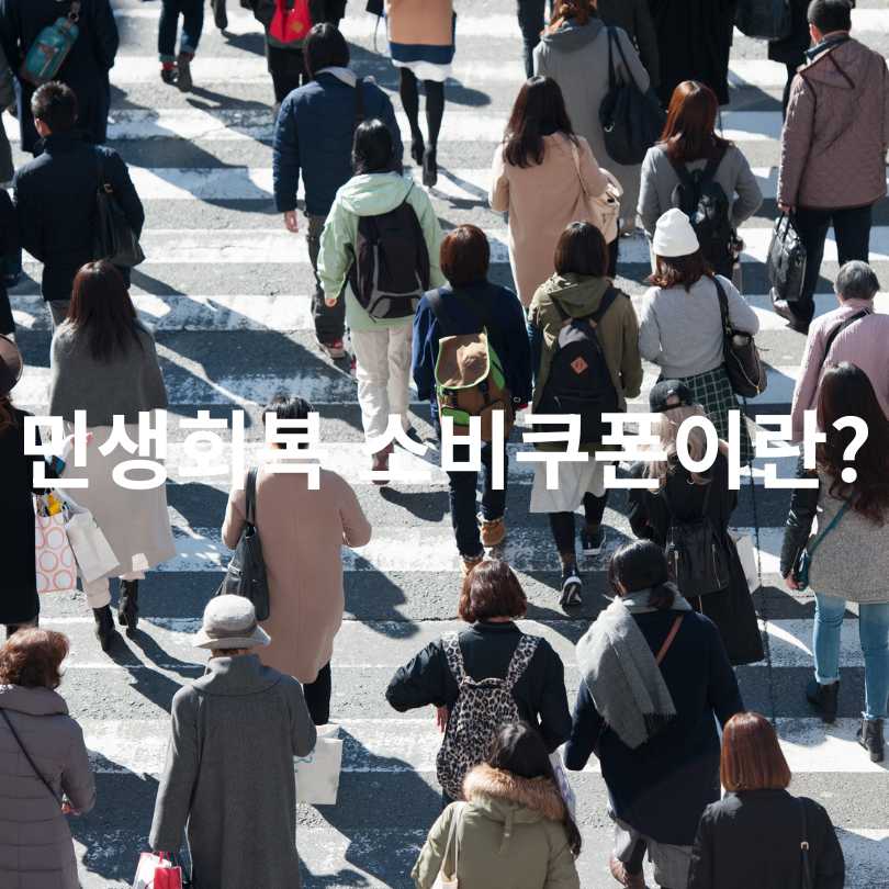 군인 민생회복 소비쿠폰 활용 꿀팁 