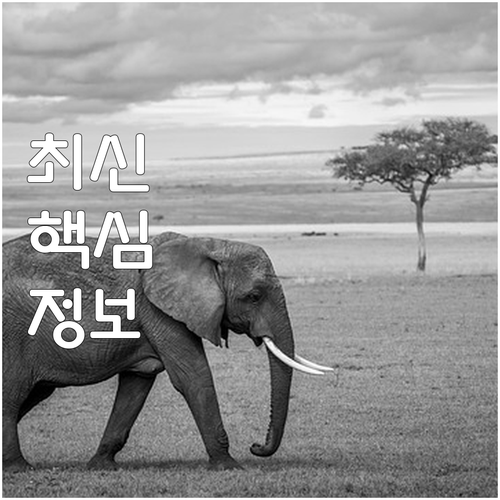 폐가구 폐가전 무상수거? 서대문구 처..