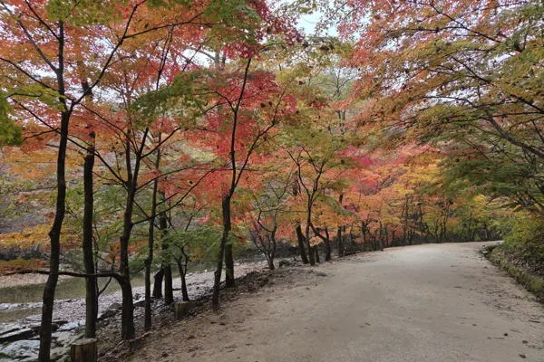 강천산2