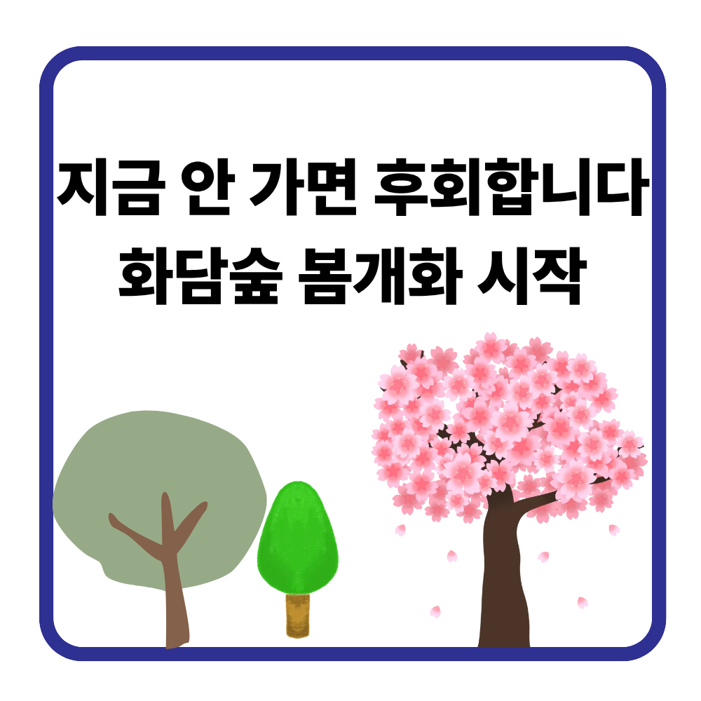 화담숲 봄꽃 개화 시기 총정리|사진 잘 나오는 BEST 코스