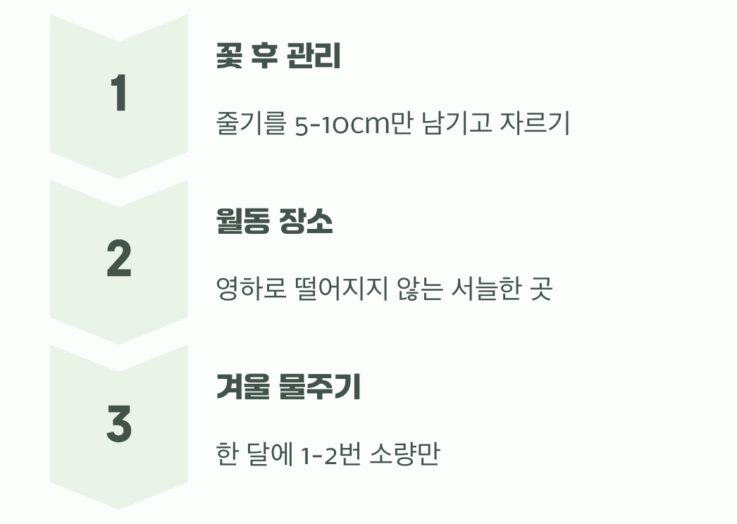 꽃 축제가 끝난 뒤, 겨울나기와 내년 준비