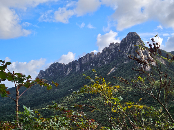 울산바위-미시령 옛길에서 촬영