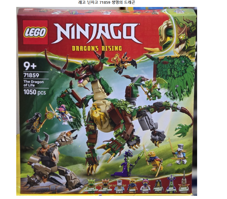 레고 닌자고 71859 생명의 드래곤 + 아이와 함께하는 창의 놀이 완구 추천