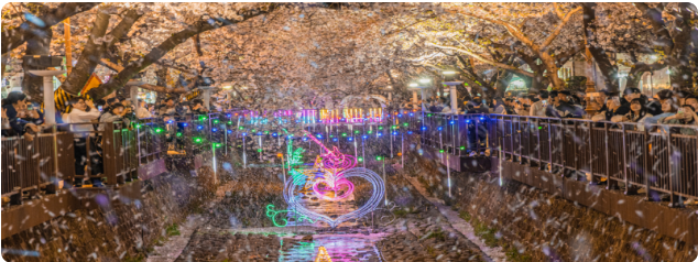 진해군항제 공연 일정