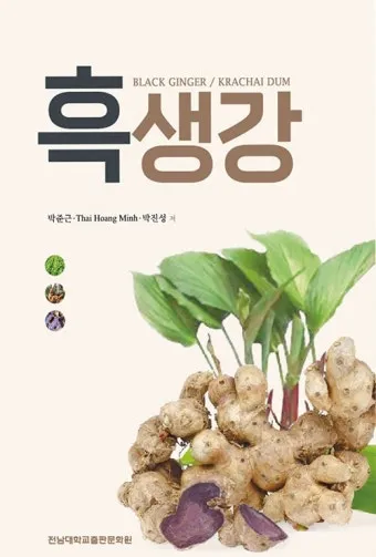 흑생강 효능 슈퍼푸드 칼로리 권장량_2