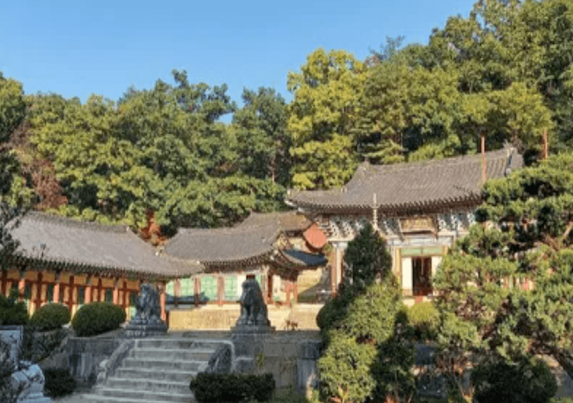 봉선사 템플스테이 가이드: 비밀의 숲 코스