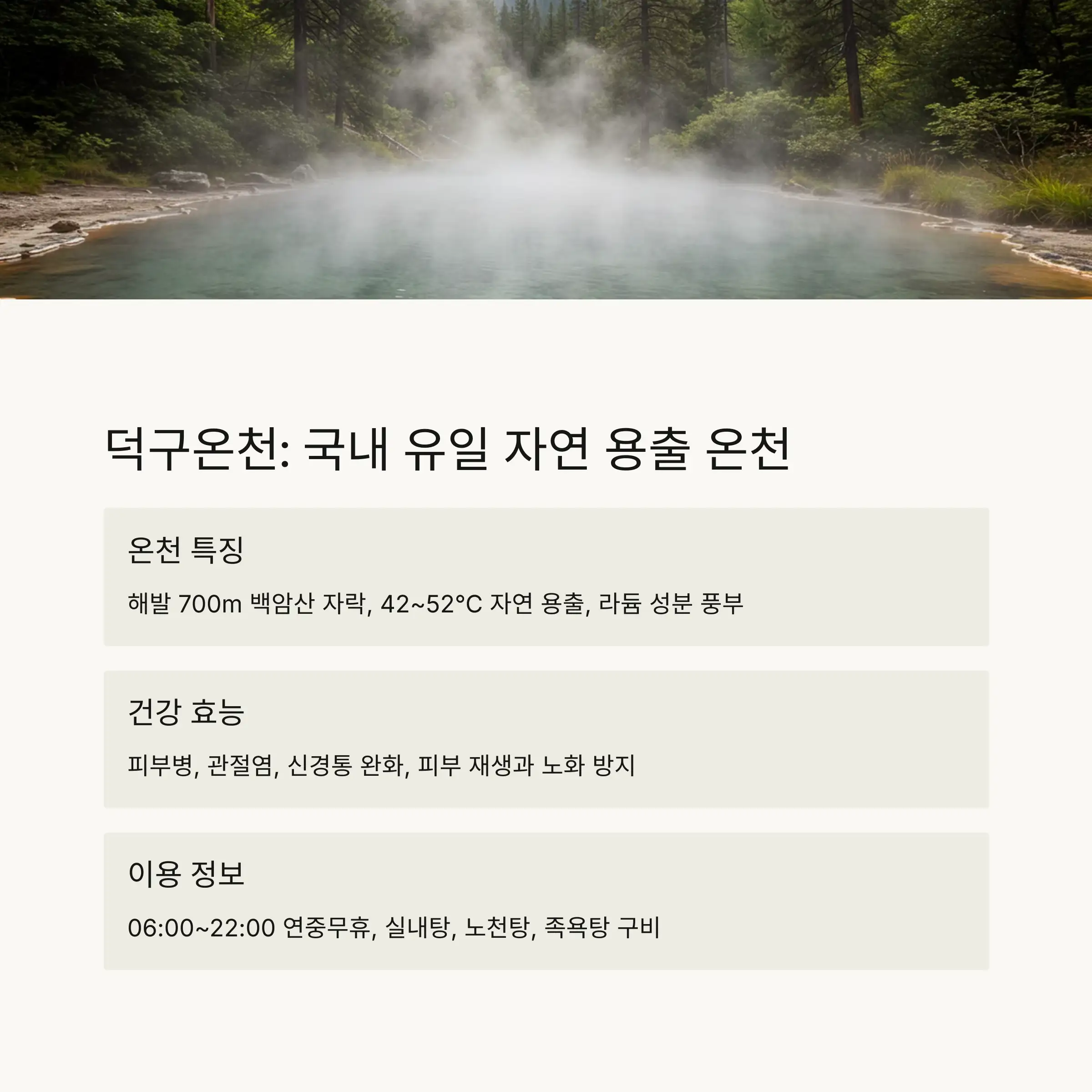 ♨️ 덕구온천: 국내 유일 자연 용출 온천