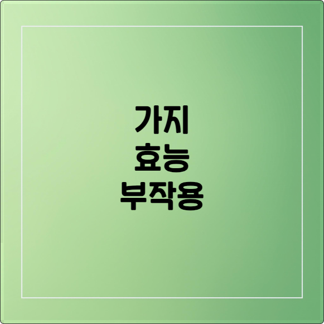 가지 효능 부작용 먹는법