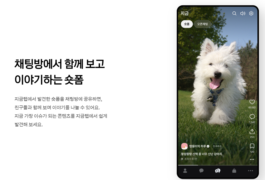 카카오톡 자동 업데이트 되돌리기 복구방법, 전화번호로 친구 추가 끄기 필수, 카톡 친구추가 안되는 이유