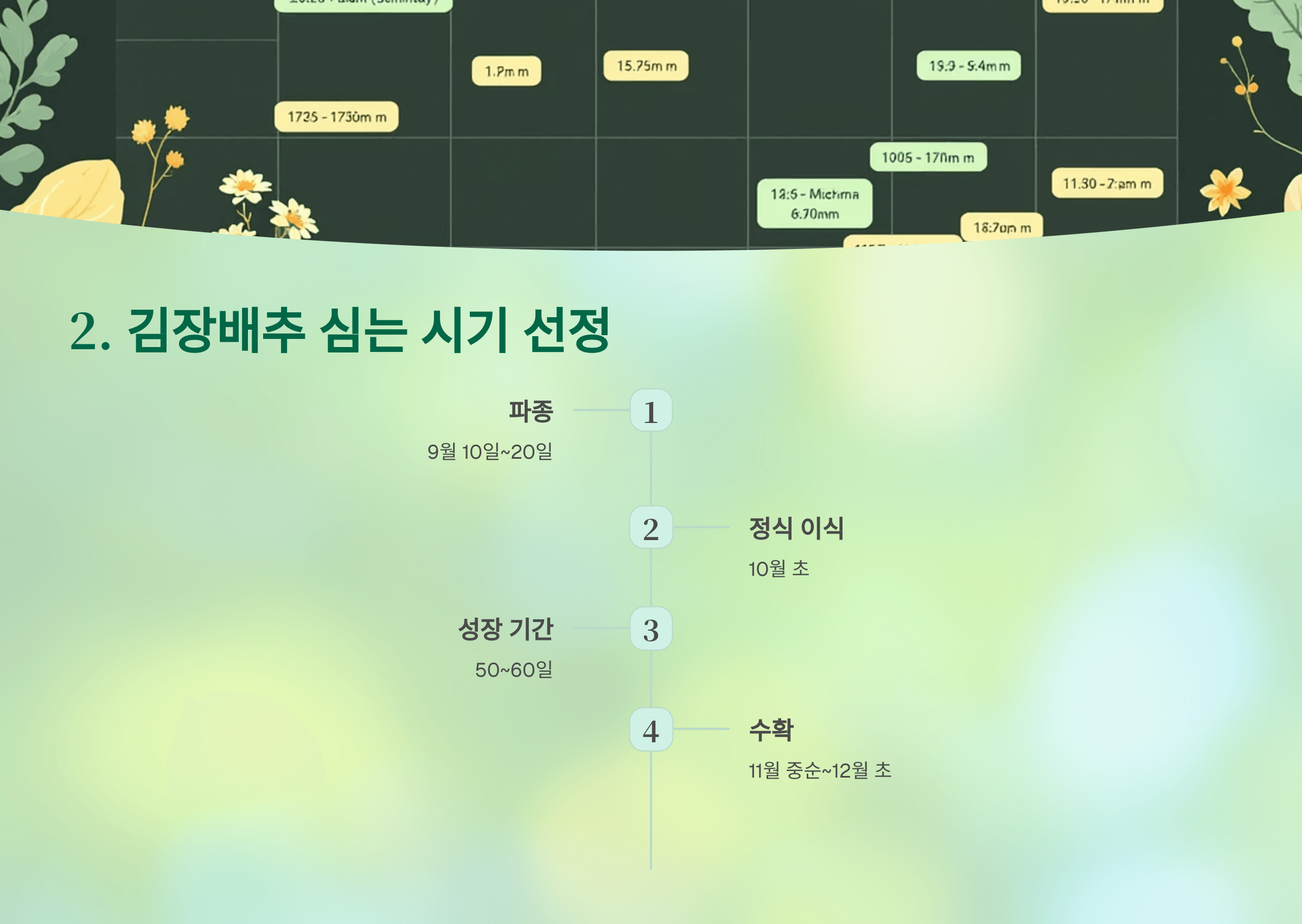 김장배추 사진입니다.