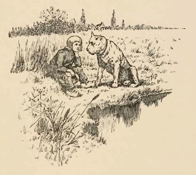 19세기 플란더스의 개 원작 일러스트, 넬로와 파트라슈가 함께 있는 삽화