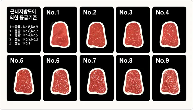 한우등급기준-근내지방도