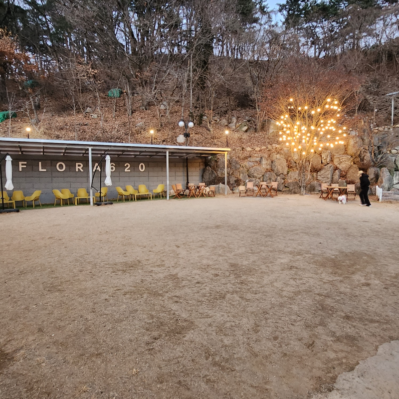 플로라620