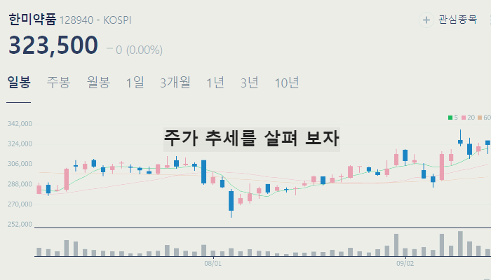비만 치료제 관련주 대장주 TOP7 : GLP-1