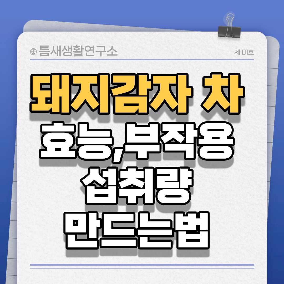 돼지감자차-썸네일