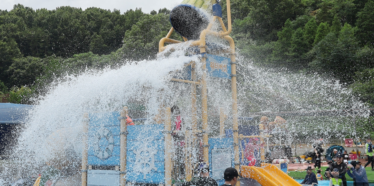 함평 물놀이장 개장! 엑스포 수영장 입장료와 페스타 축제 일정 총정리