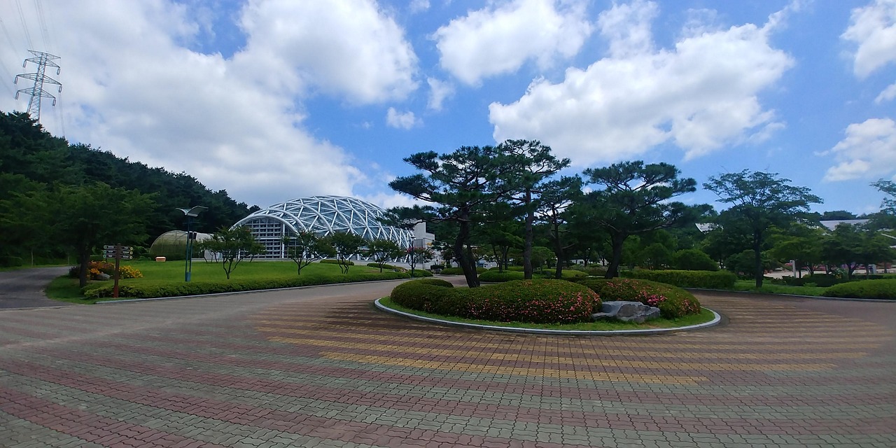 연말정산 부양가족 신용카드 공제