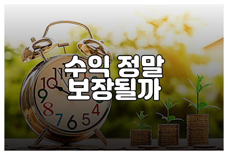 수익 정말 보장될까