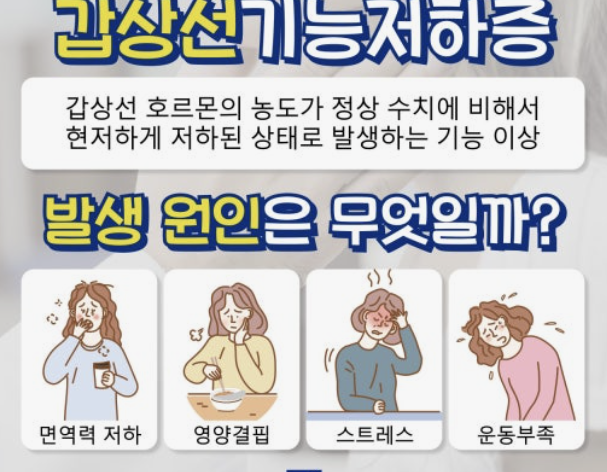 갑상선 기능 저하증 증상