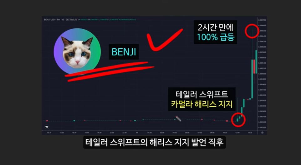 베이비 도지 코인의 급등 이유와 일론 머스크의 영향 ❘ 밈 코인 시장 전망