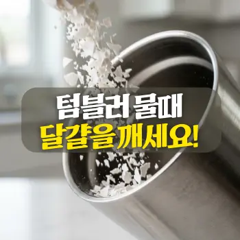 텀블러 물때 달걀을 깨세요!
깨끗한 스테인리스 텀블러 내부로 잘게 부서진 흰색 달걀껍데기들이 쏟아져 들어가는 찰나의 **초밀착 클로즈업(Extreme Close-up)**.