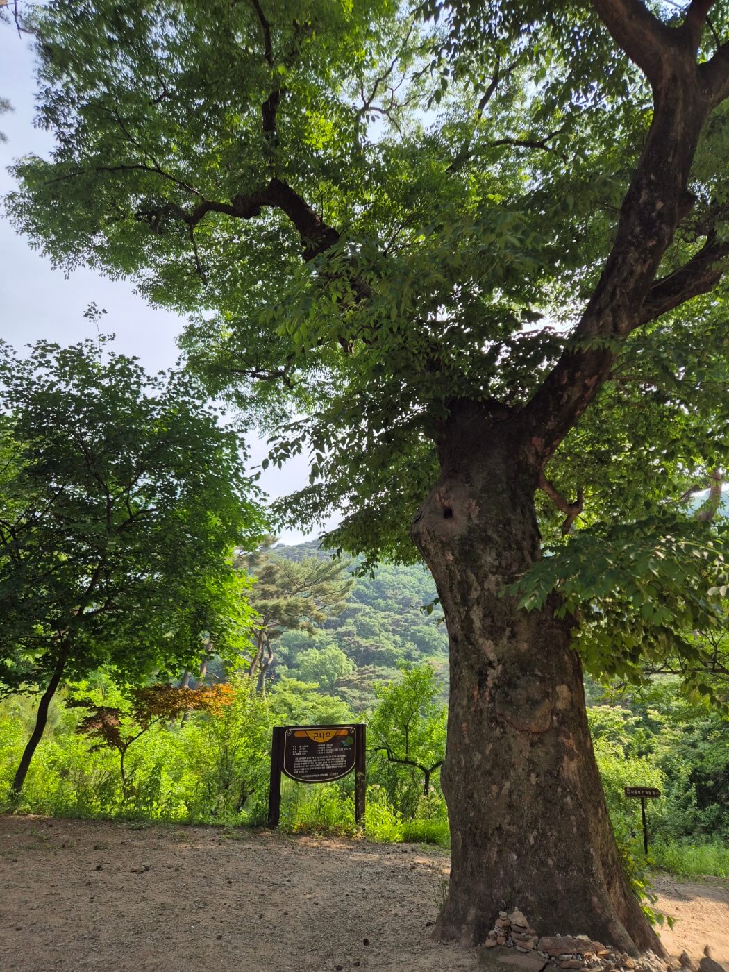 전등사 대웅전 가는 길